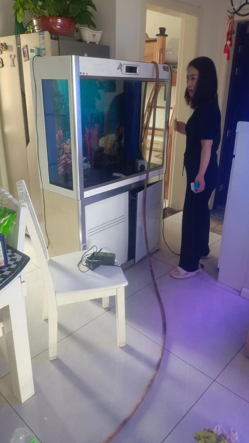 如何判斷一個龍魚魚缸的品牌聲譽？，如何判斷一個龍魚魚缸品牌聲譽？ 如何判斷一個龍魚魚缸的品牌聲譽？，如何判斷一個龍魚魚缸品牌聲譽？ 龍魚百科 第11張