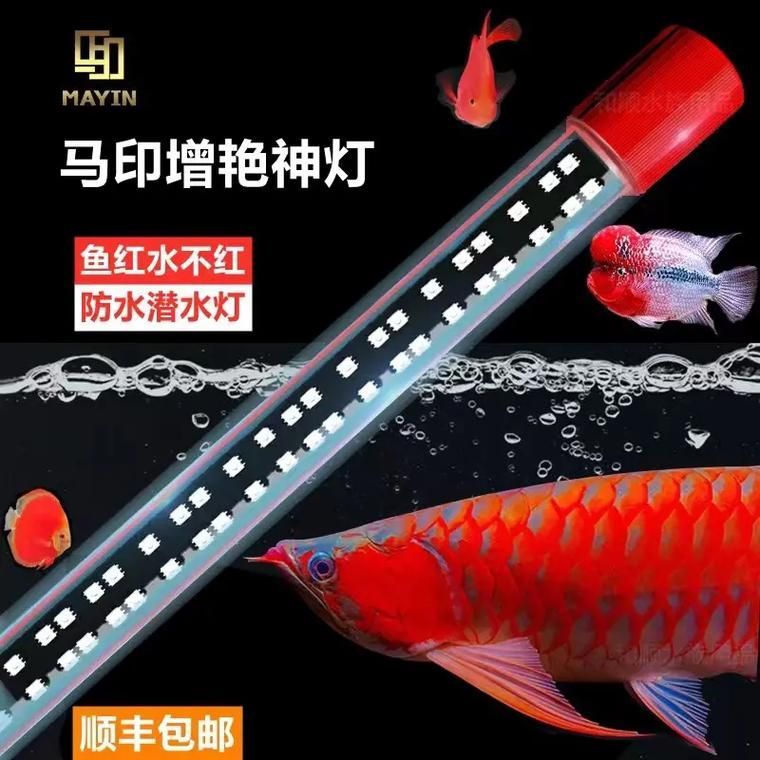 如何選擇適合紅龍的燈光品牌