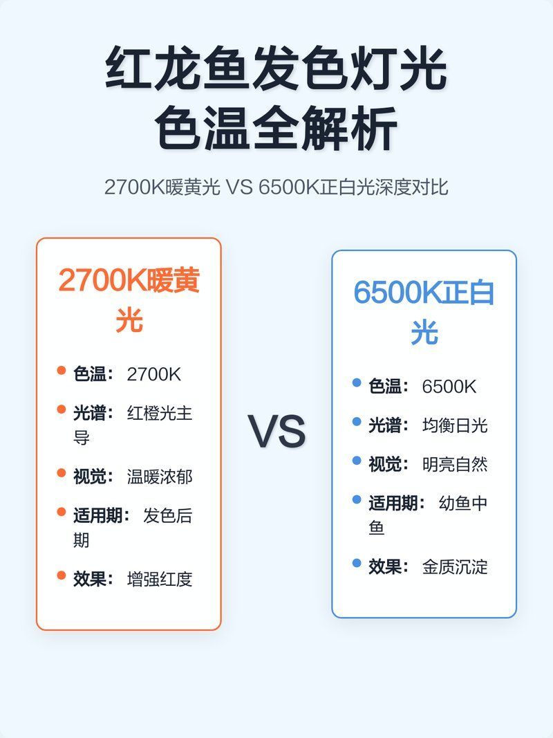 如何選擇適合紅龍的燈光品牌