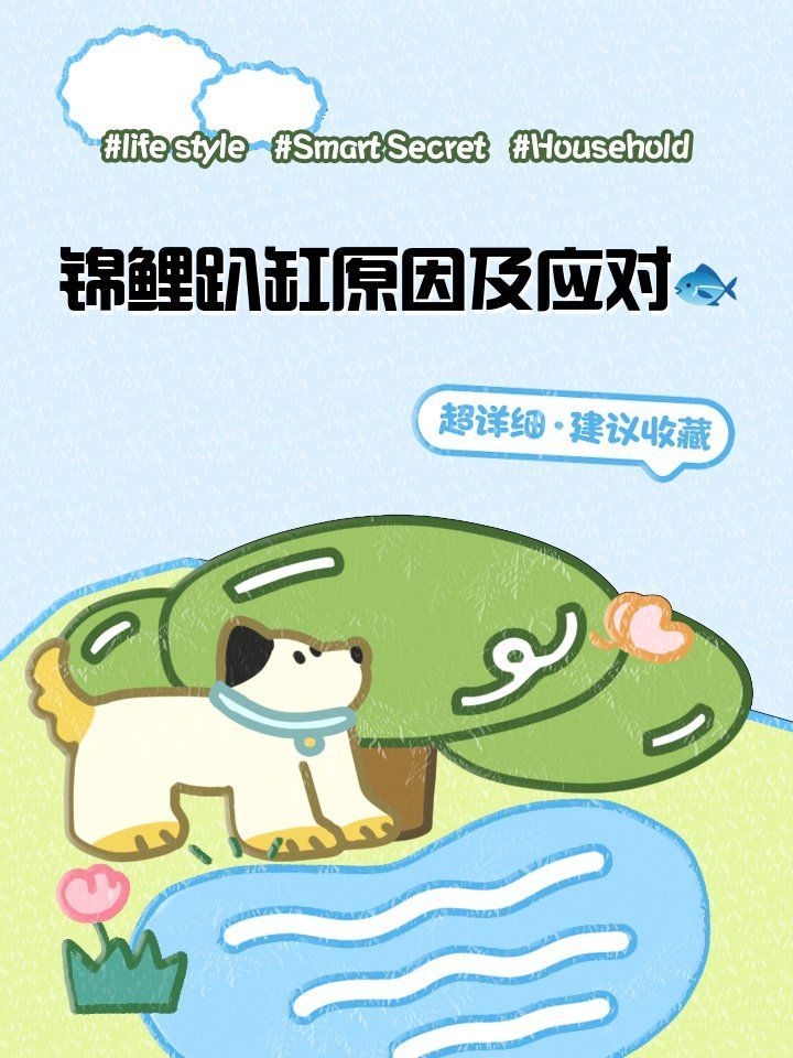 錦鯉趴缸后如何恢復，錦鯉趴缸養殖技術