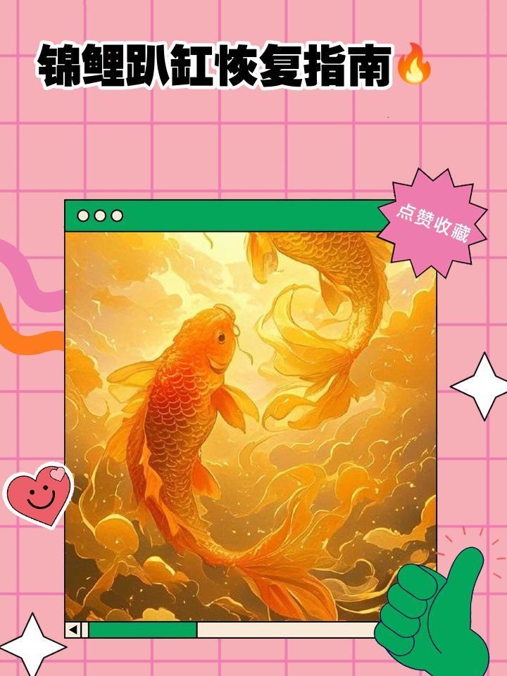 錦鯉趴缸后如何恢復，錦鯉趴缸養殖技術