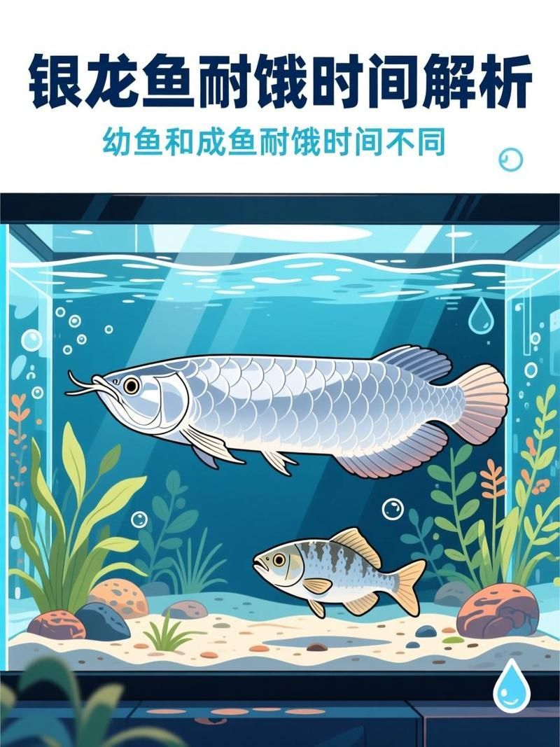 龍魚不吃食可以持續多久？，龍魚不吃食可以持續多久， 龍魚不吃食可以持續多久？，龍魚不吃食可以持續多久， 龍魚百科 第2張