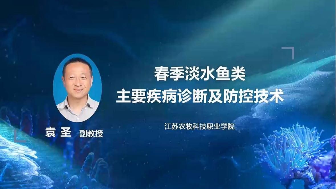 能否提供更多預防魚類常見病的建議，新手養魚必看!常見疾病防治技術