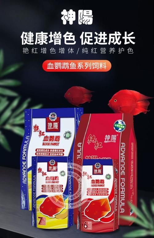 觀賞魚飼料品牌推薦，備受推崇的觀賞魚飼料品牌推薦海洋之星oceanstar 觀賞魚飼料品牌推薦，備受推崇的觀賞魚飼料品牌推薦海洋之星oceanstar 龍魚百科 第6張
