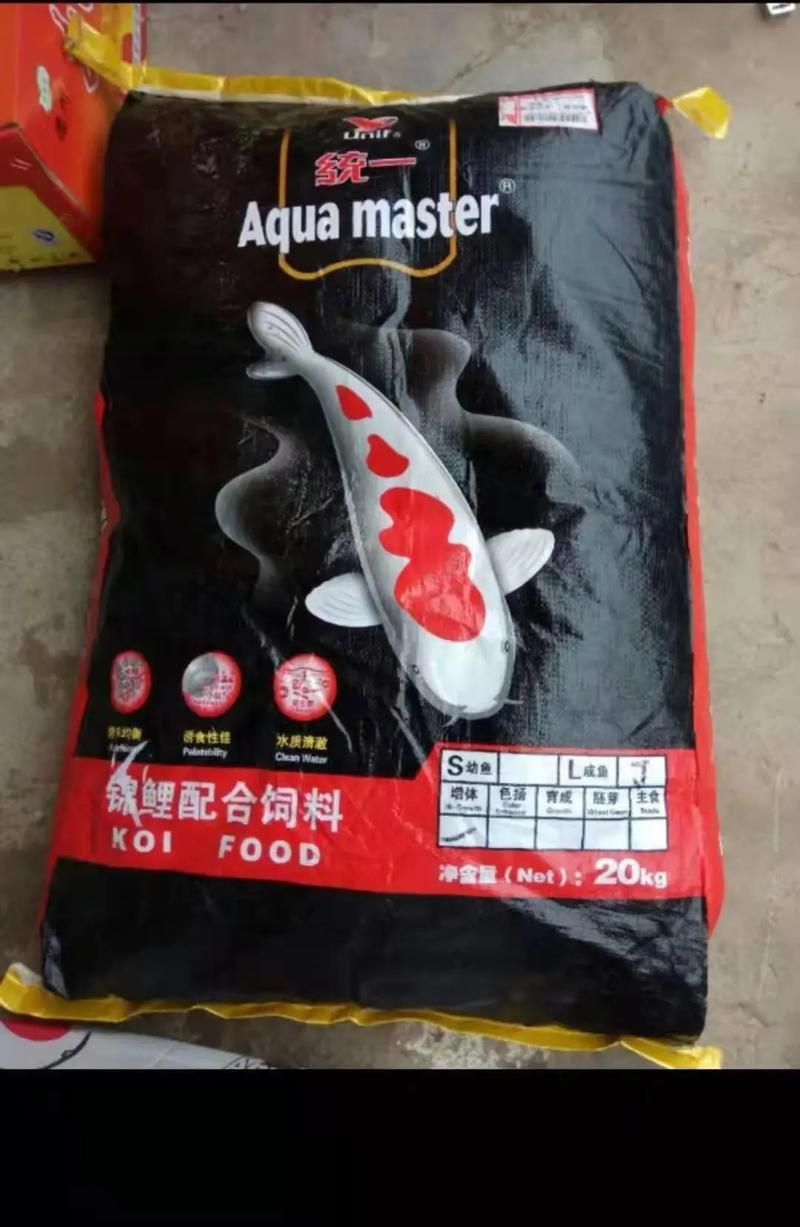 觀賞魚飼料品牌推薦，備受推崇的觀賞魚飼料品牌推薦海洋之星oceanstar 觀賞魚飼料品牌推薦，備受推崇的觀賞魚飼料品牌推薦海洋之星oceanstar 龍魚百科 第12張