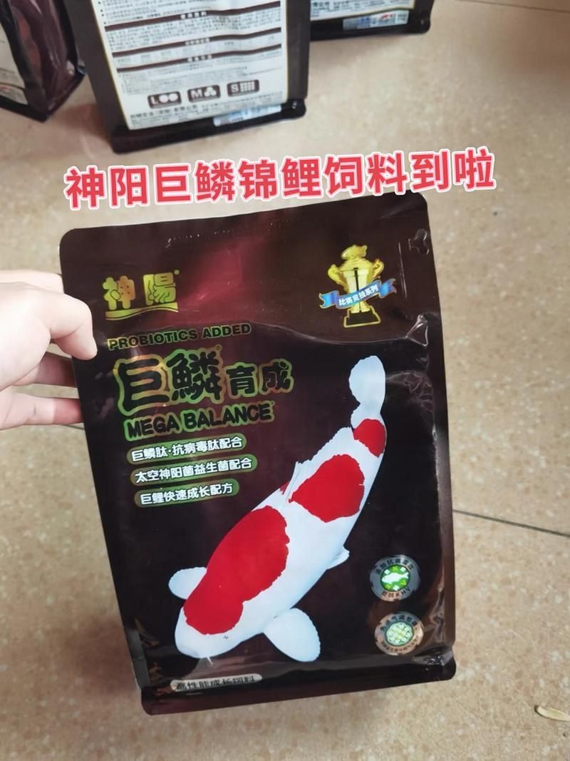 觀賞魚飼料品牌推薦，備受推崇的觀賞魚飼料品牌推薦海洋之星oceanstar 觀賞魚飼料品牌推薦，備受推崇的觀賞魚飼料品牌推薦海洋之星oceanstar 龍魚百科 第1張