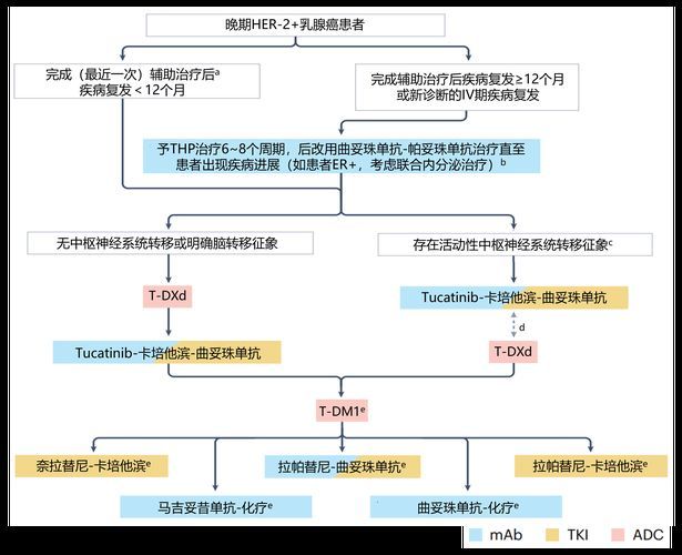 能否提供藥物治療的流程圖，“藥物治療的流程圖”生成的摘要：藥物治療的流程圖
