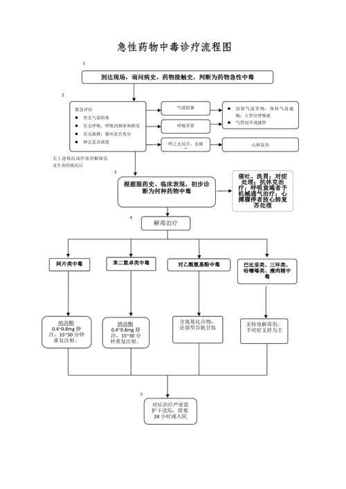 能否提供藥物治療的流程圖，“藥物治療的流程圖”生成的摘要：藥物治療的流程圖
