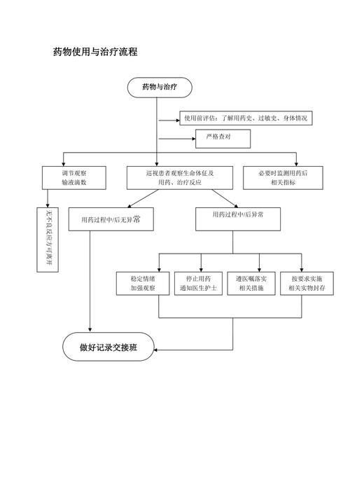 能否提供藥物治療的流程圖，“藥物治療的流程圖”生成的摘要：藥物治療的流程圖