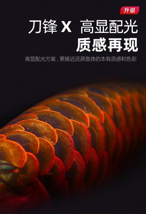 能推薦幾款性價比高的龍魚發色燈嗎？，龍魚發色燈哪個牌子好 能推薦幾款性價比高的龍魚發色燈嗎？，龍魚發色燈哪個牌子好 龍魚百科 第8張
