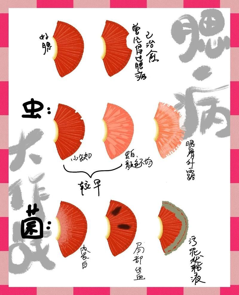 龍魚鰓蟲感染后還能救活嗎？，龍魚鰓蟲感染后還能救活嗎,龍魚感染后還能救活嗎 龍魚鰓蟲感染后還能救活嗎？，龍魚鰓蟲感染后還能救活嗎,龍魚感染后還能救活嗎 龍魚百科 第1張