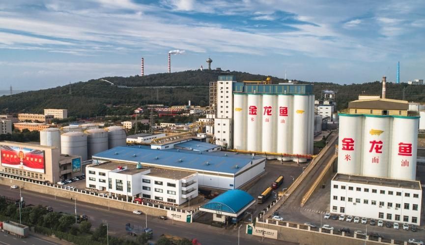 金龍魚廣西工廠的歷史，金龍魚廣西工廠歷史可追溯到20世紀90年代