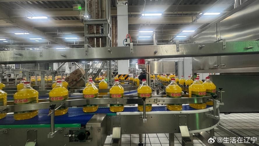 金龍魚廣西工廠的歷史，金龍魚廣西工廠歷史可追溯到20世紀90年代
