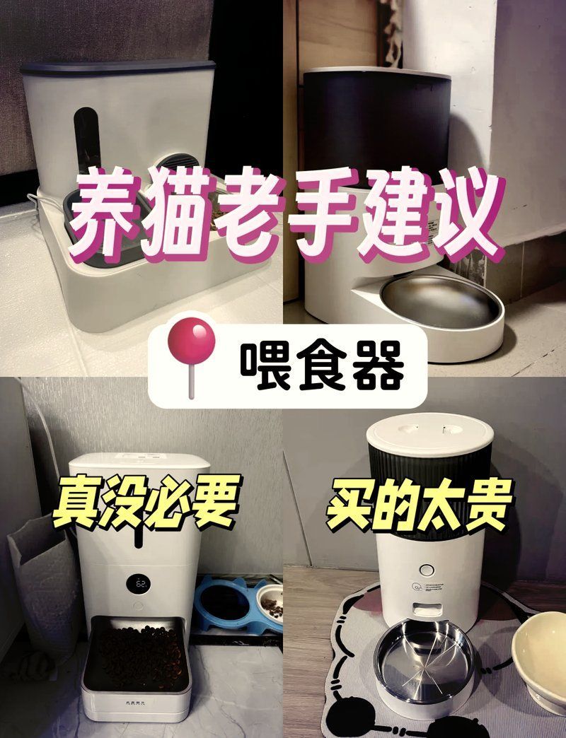 有哪些寵物喂食工具推薦，寵物喂食工具推薦 有哪些寵物喂食工具推薦，寵物喂食工具推薦 龍魚百科 第17張