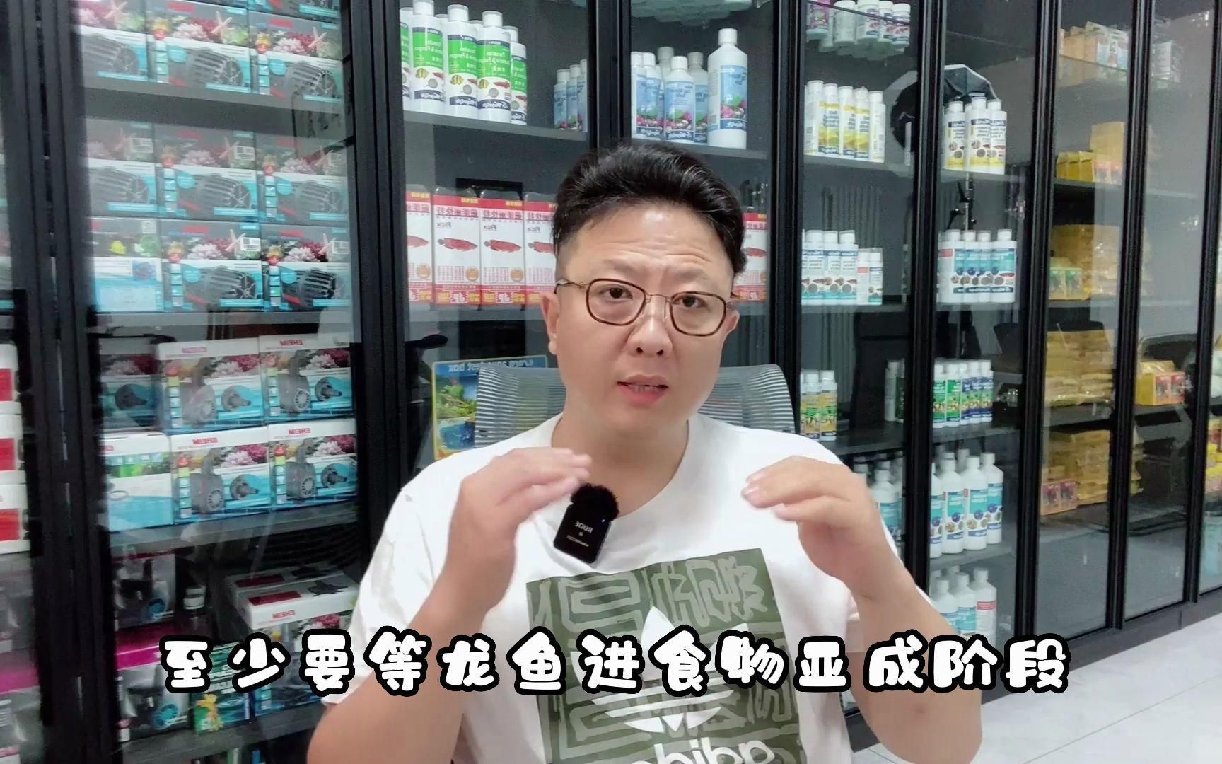 有哪些食物可以作為龍魚的主食？，觀賞魚中的“貴族”，龍魚主食需求與普通魚類有所不同