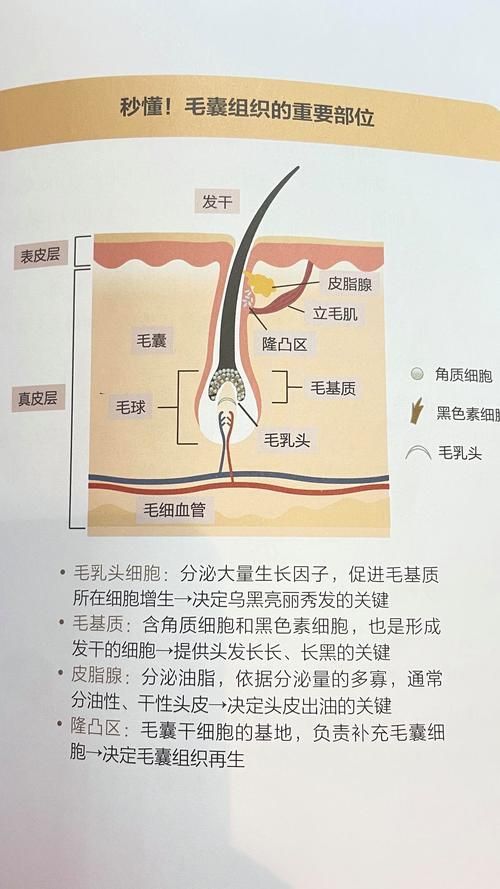 哪些藥物可以有效治療胡須斷裂，關(guān)于胡須斷裂的一些建議 哪些藥物可以有效治療胡須斷裂，關(guān)于胡須斷裂的一些建議 龍魚百科 第2張