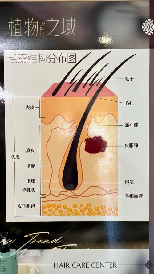 哪些藥物可以有效治療胡須斷裂，關(guān)于胡須斷裂的一些建議 哪些藥物可以有效治療胡須斷裂，關(guān)于胡須斷裂的一些建議 龍魚百科 第3張