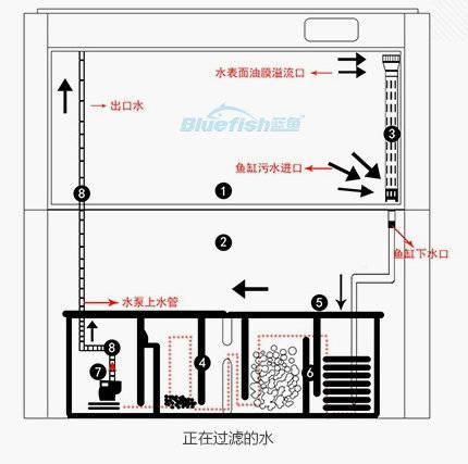 如何改善水質以預防爛尾爛鰭病，如何改善爛尾爛鰭病