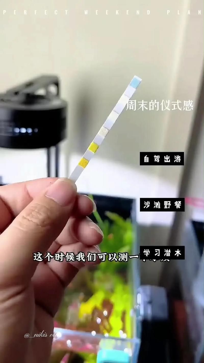 如何改善水質以預防爛尾爛鰭病，如何改善爛尾爛鰭病