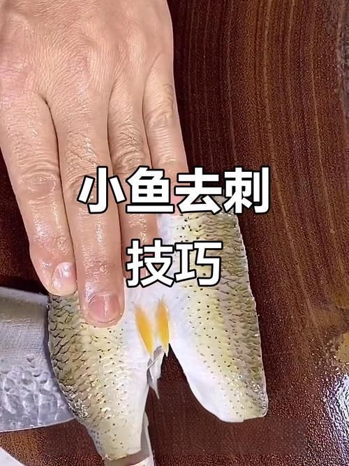 如何安全地食用小魚 如何安全地食用小魚 龍魚百科 第4張
