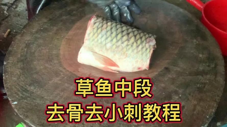 如何安全地食用小魚 如何安全地食用小魚 龍魚百科 第3張