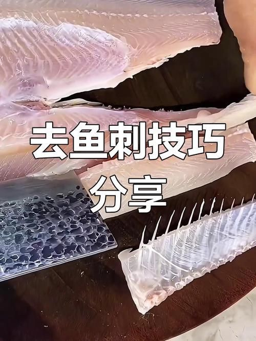 如何安全地食用小魚 如何安全地食用小魚 龍魚百科 第1張