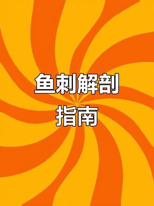如何安全地食用小魚 如何安全地食用小魚 龍魚百科 第6張