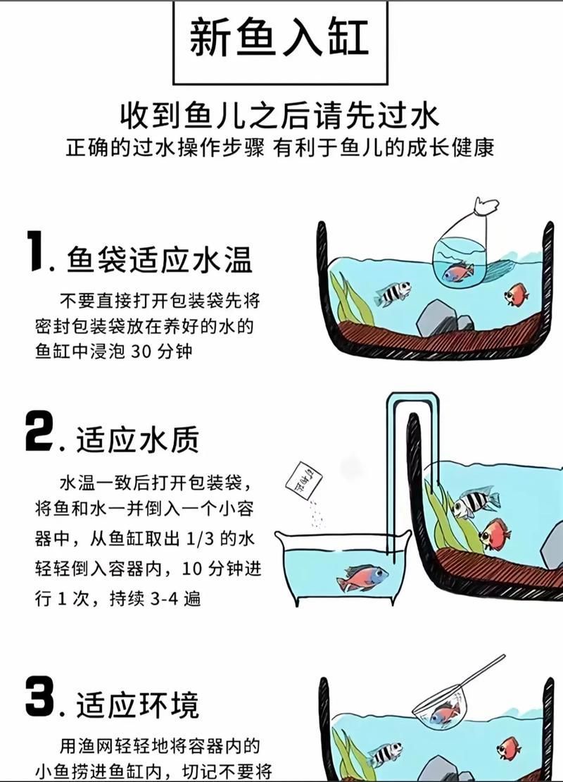 如何安全地食用小魚 如何安全地食用小魚 龍魚百科 第8張