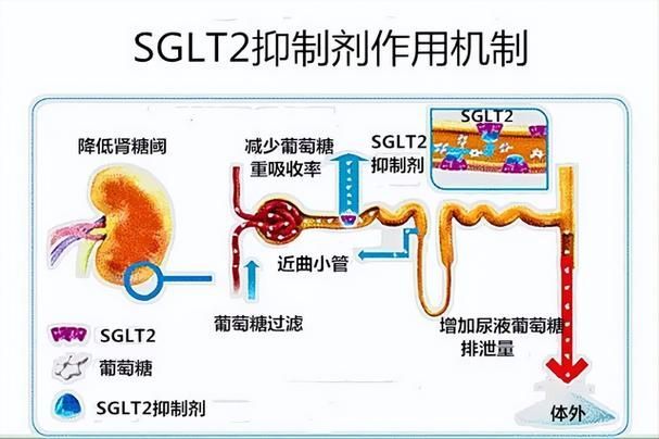 哪些藥物可以聯合使用,藥物聯合使用方案 龍魚百科 第3張 哪些藥物可以聯合使用,藥物聯合使用方案 哪些藥物可以聯合使用,藥物聯合使用方案 龍魚百科 第3張