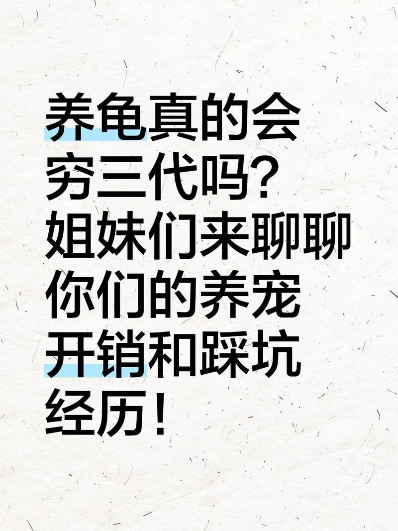 “養龜窮三代”的說法有歷史依據嗎，“養龜窮三代”的說法有哪些低成本養龜實操指南 “養龜窮三代”的說法有歷史依據嗎，“養龜窮三代”的說法有哪些低成本養龜實操指南 龍魚百科 第2張