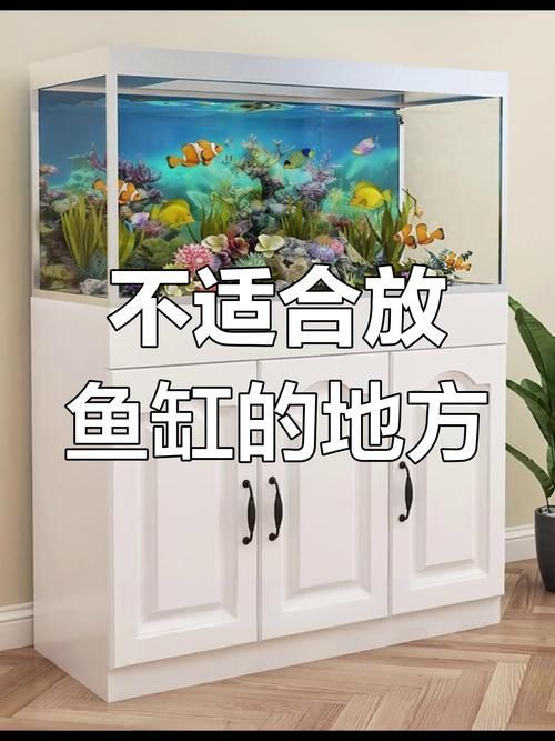 給我一張詳細的魚缸擺放位置圖，詳細的魚缸擺放位置圖 給我一張詳細的魚缸擺放位置圖，詳細的魚缸擺放位置圖 龍魚百科 第2張