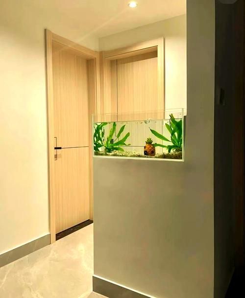 給我一張詳細的魚缸擺放位置圖，詳細的魚缸擺放位置圖 給我一張詳細的魚缸擺放位置圖，詳細的魚缸擺放位置圖 龍魚百科 第12張