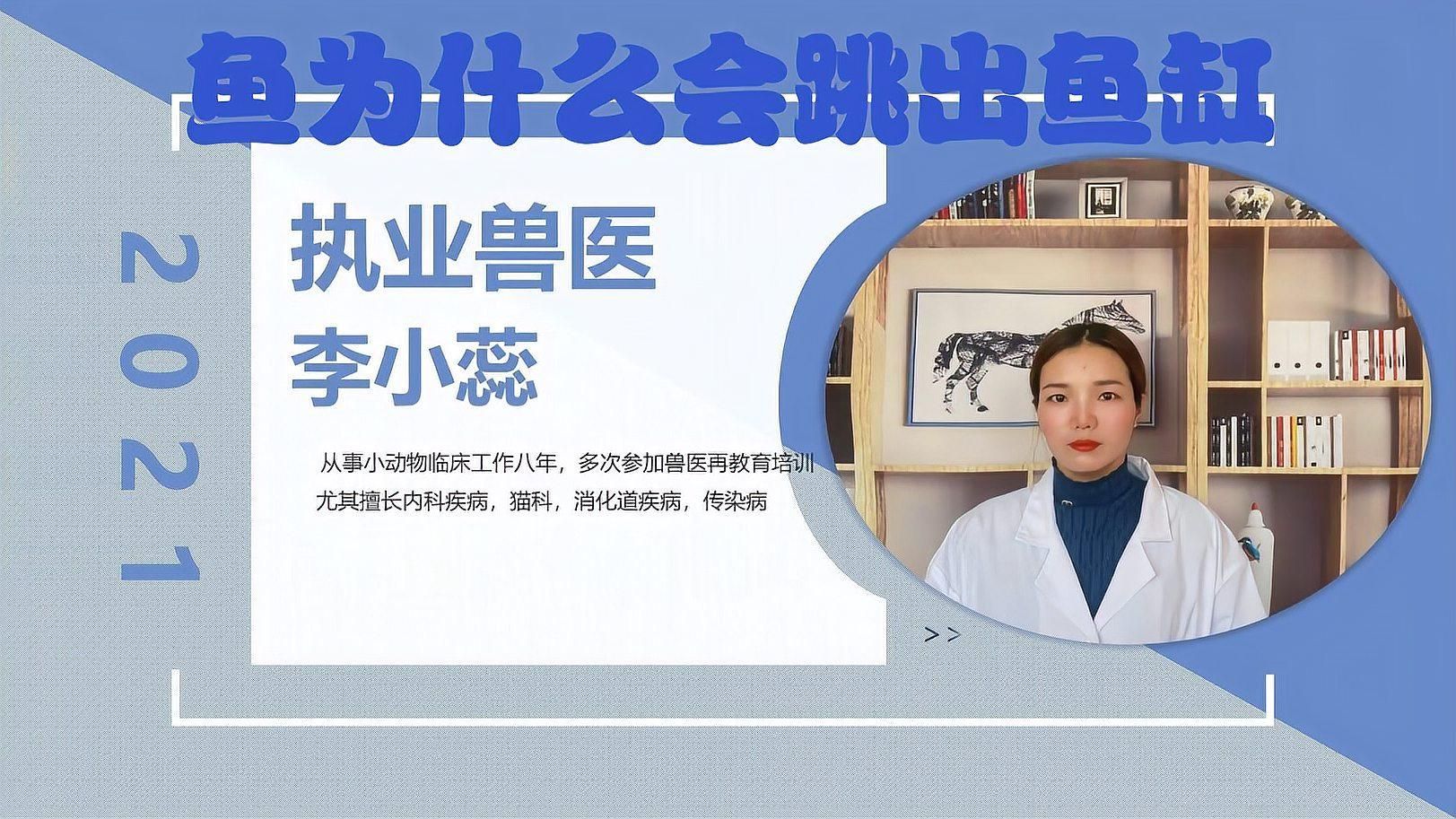 龍魚跳缸是兇是吉，龍魚跳缸后如何護(hù)理