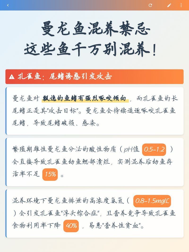 有哪些魚類不適合與曼龍魚混養，曼龍魚混養禁忌|這些魚千萬別混養 有哪些魚類不適合與曼龍魚混養，曼龍魚混養禁忌|這些魚千萬別混養 龍魚百科 第2張