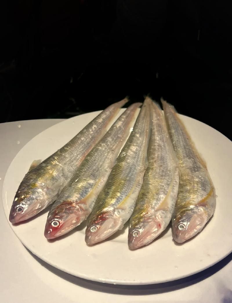 有哪些名貴魚種，關于名貴魚種的詳解