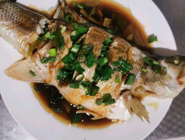 馬尾龍魚的最佳烹飪方法是什么？，馬尾龍魚怎么做？ 馬尾龍魚的最佳烹飪方法是什么？，馬尾龍魚怎么做？ 龍魚百科 第2張