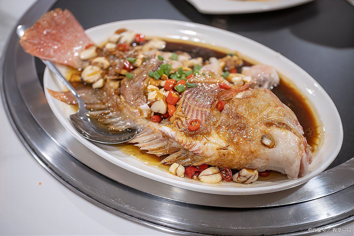 馬尾龍魚的最佳烹飪方法是什么？，馬尾龍魚怎么做？ 馬尾龍魚的最佳烹飪方法是什么？，馬尾龍魚怎么做？ 龍魚百科 第1張
