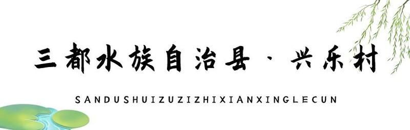 三都龍魚的特點是什么？，三都龍魚是什么魚？ 三都龍魚的特點是什么？，三都龍魚是什么魚？ 龍魚百科 第12張