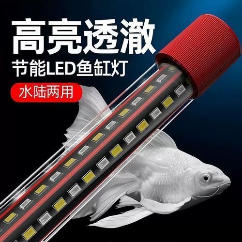 龍魚照明專用燈的價格范圍是多少？，龍魚照明專用燈價格范圍是多少？