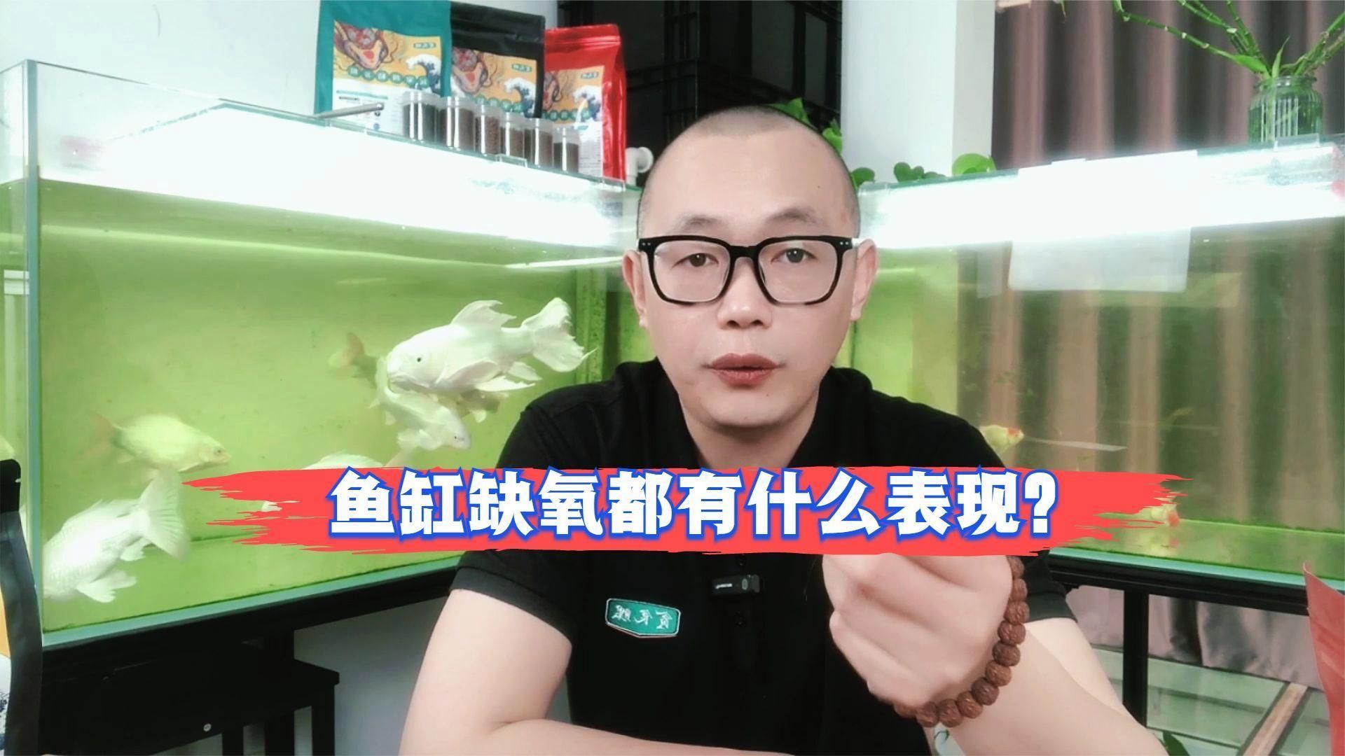 如何判斷魚兒是否缺氧，判斷魚兒是否缺氧的“求救信號”只是“懶”了只是“懶”了 如何判斷魚兒是否缺氧，判斷魚兒是否缺氧的“求救信號”只是“懶”了只是“懶”了 龍魚百科 第2張
