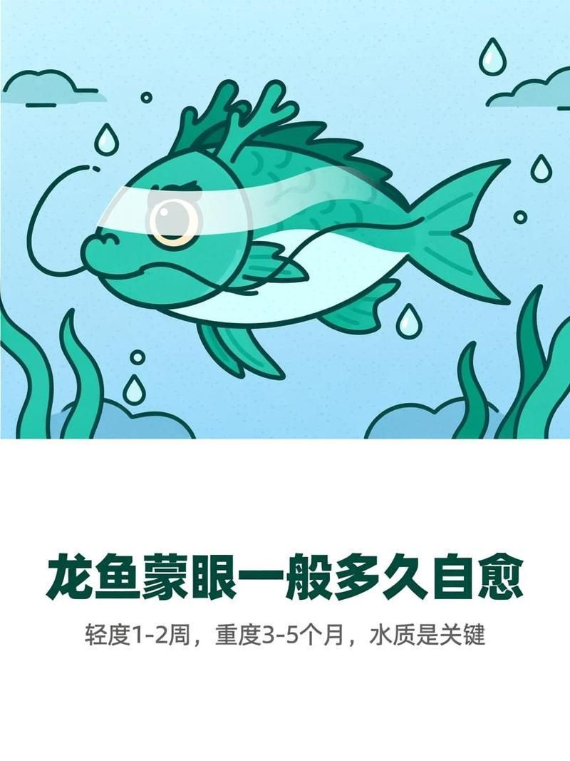 龍魚蒙眼癥多久會(huì)好，龍魚蒙眼癥的治療方法包括藥物治療和手術(shù)治療和手術(shù) 龍魚蒙眼癥多久會(huì)好，龍魚蒙眼癥的治療方法包括藥物治療和手術(shù)治療和手術(shù) 龍魚百科 第1張