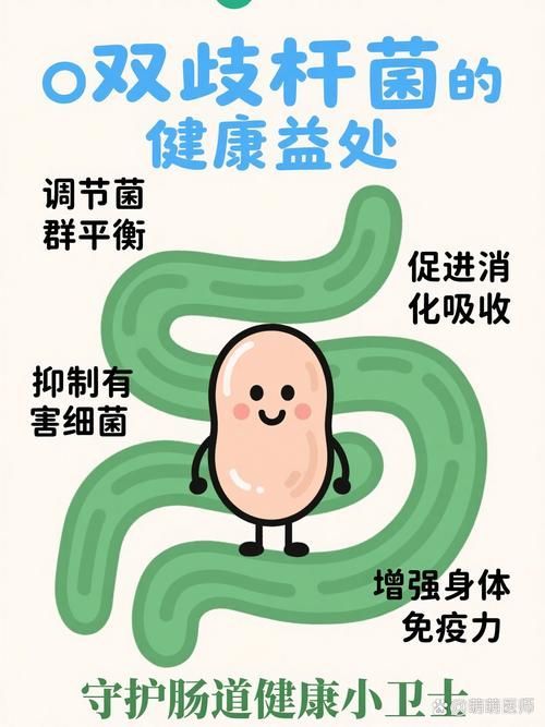 益生菌在腸炎預防中的作用，益生菌在腸炎預防中的作用機制