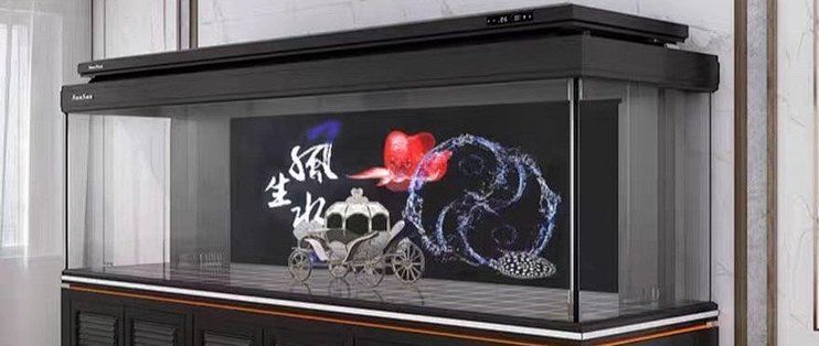 哪種材質的龍魚缸最好？，超白玻璃龍魚缸材質選擇對于水質和觀賞效果至關重要 哪種材質的龍魚缸最好？，超白玻璃龍魚缸材質選擇對于水質和觀賞效果至關重要 龍魚百科 第8張