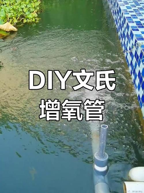 如何改善魚缸中的溶氧量？，如何改善魚缸中的溶氧量 如何改善魚缸中的溶氧量？，如何改善魚缸中的溶氧量 龍魚百科 第4張