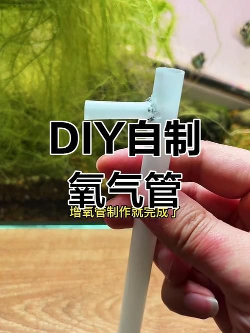 如何改善魚缸中的溶氧量？，如何改善魚缸中的溶氧量 如何改善魚缸中的溶氧量？，如何改善魚缸中的溶氧量 龍魚百科 第6張