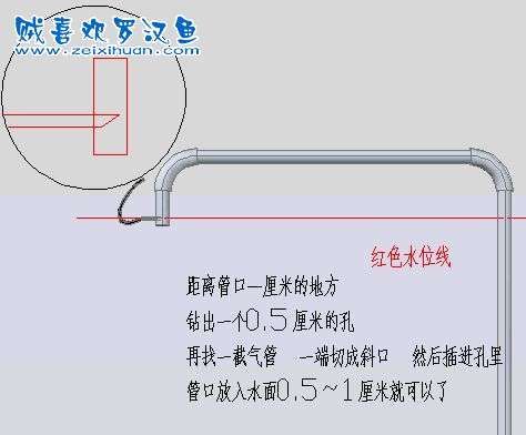 如何改善魚缸中的溶氧量？，如何改善魚缸中的溶氧量 如何改善魚缸中的溶氧量？，如何改善魚缸中的溶氧量 龍魚百科 第5張