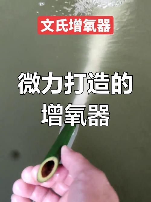 如何改善魚缸中的溶氧量？，如何改善魚缸中的溶氧量 如何改善魚缸中的溶氧量？，如何改善魚缸中的溶氧量 龍魚百科 第3張