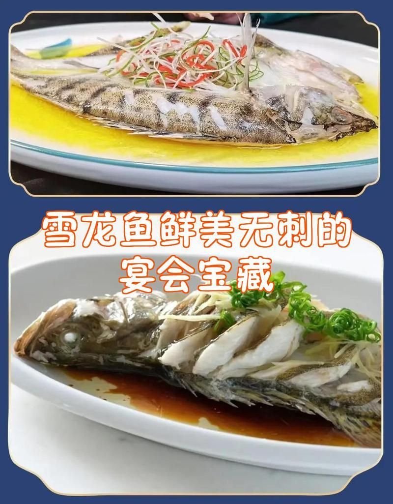 雪龍魚適合哪些人群食用，雪龍魚適合哪些人群食用雪龍魚適合哪些人群食用 雪龍魚適合哪些人群食用，雪龍魚適合哪些人群食用雪龍魚適合哪些人群食用 龍魚百科 第2張