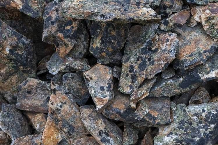 給我一些關于鷹手營子礦龍魚的信息,“鷹手營子礦龍魚(鷹手營子礦龍魚”是真實存在的生物化石 龍魚百科 第9張 給我一些關于鷹手營子礦龍魚的信息,“鷹手營子礦龍魚(鷹手營子礦龍魚”是真實存在的生物化石 給我一些關于鷹手營子礦龍魚的信息,“鷹手營子礦龍魚(鷹手營子礦龍魚”是真實存在的生物化石 龍魚百科 第9張