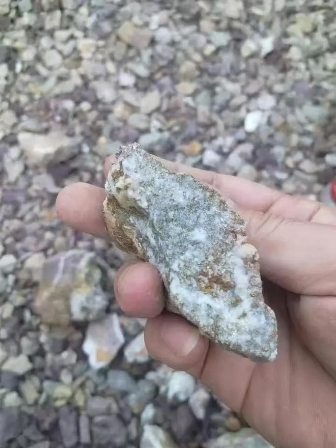 給我一些關于鷹手營子礦龍魚的信息,“鷹手營子礦龍魚(鷹手營子礦龍魚”是真實存在的生物化石 龍魚百科 第7張 給我一些關于鷹手營子礦龍魚的信息,“鷹手營子礦龍魚(鷹手營子礦龍魚”是真實存在的生物化石 給我一些關于鷹手營子礦龍魚的信息,“鷹手營子礦龍魚(鷹手營子礦龍魚”是真實存在的生物化石 龍魚百科 第7張